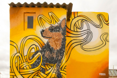 Graffiti9